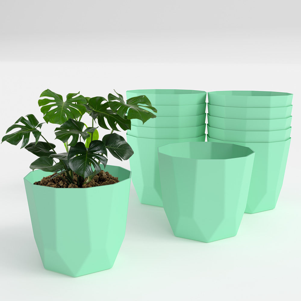 SHERA | HEXA PLANTER