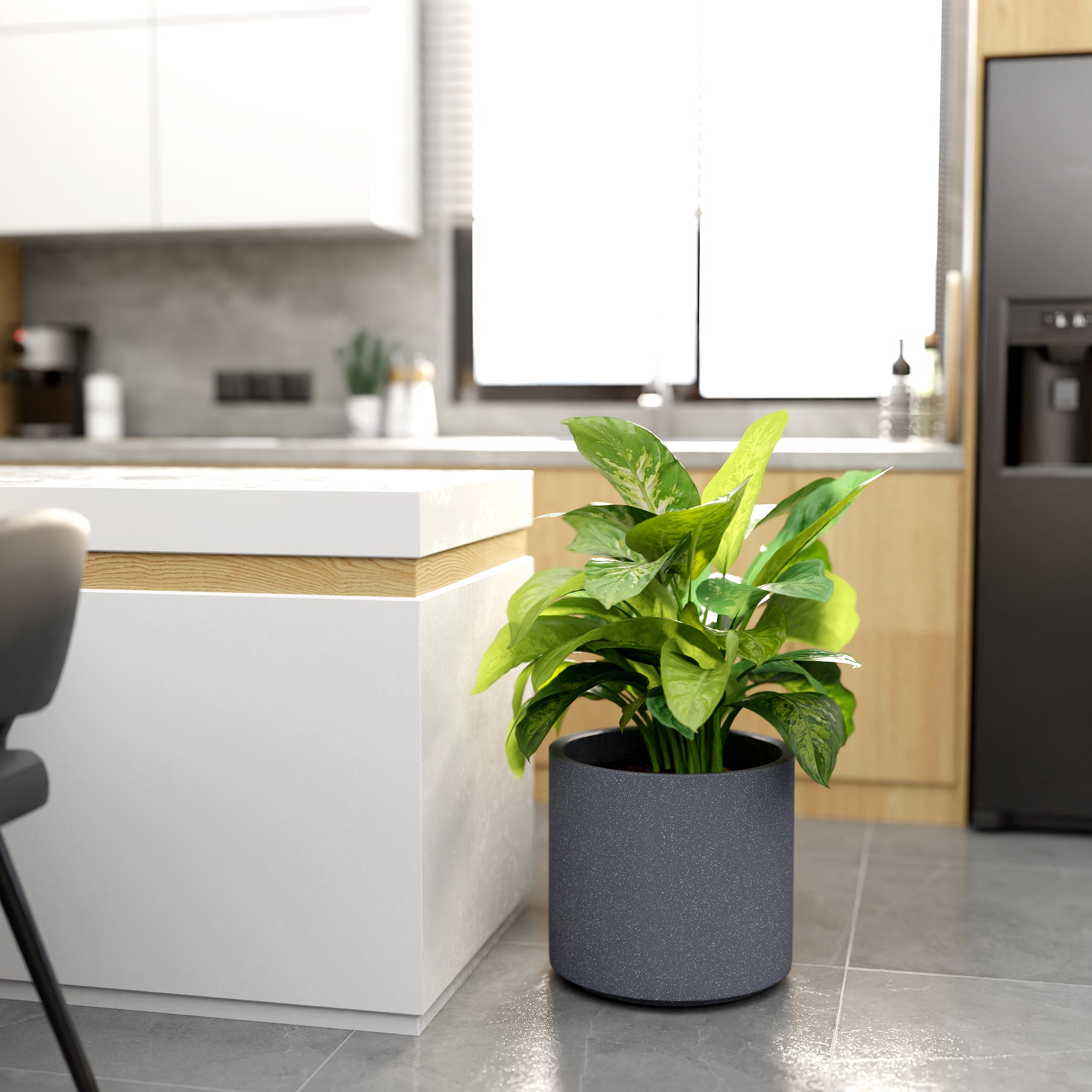 FOX B | CILIN PLANTER