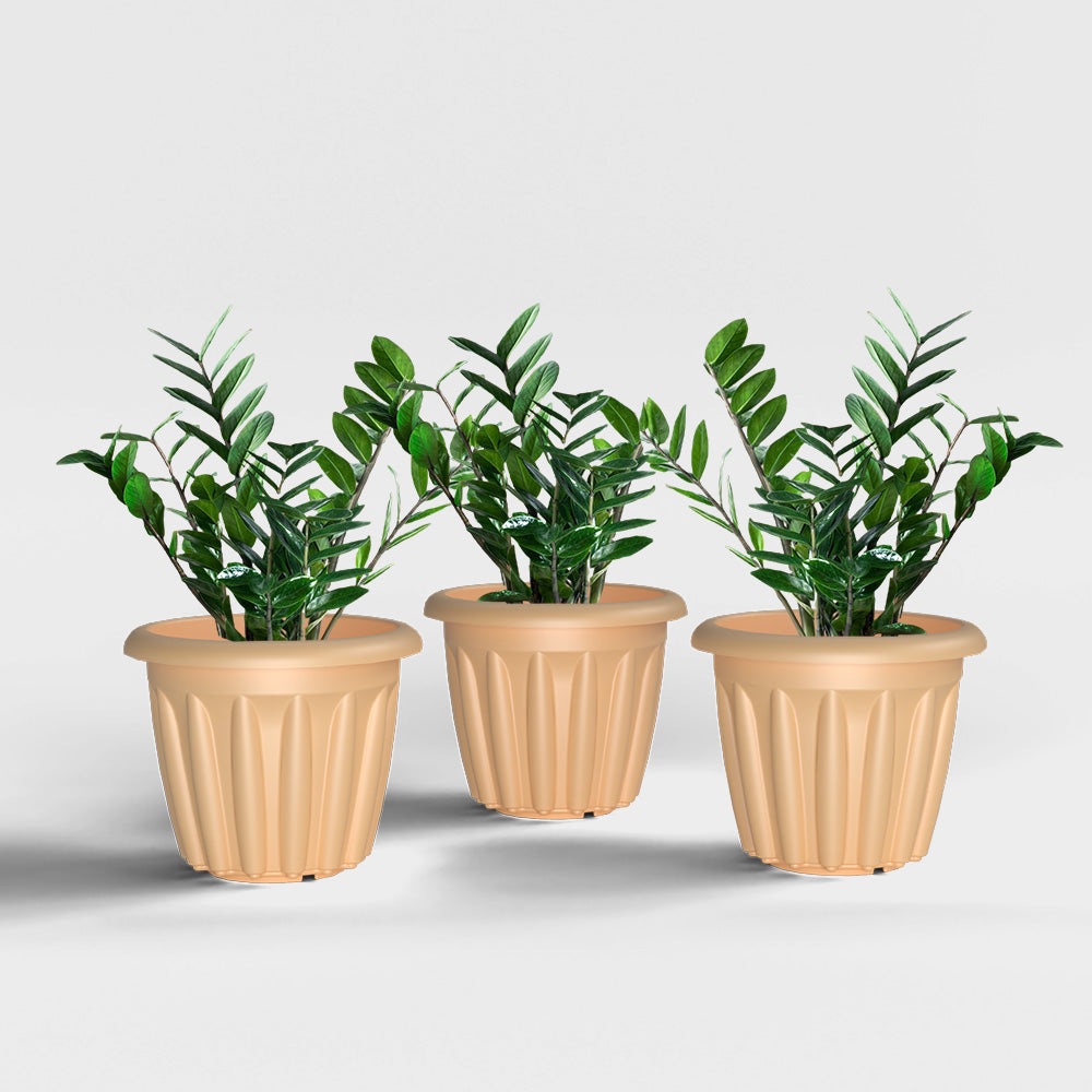 SHERA | FLOOT PLANTER
