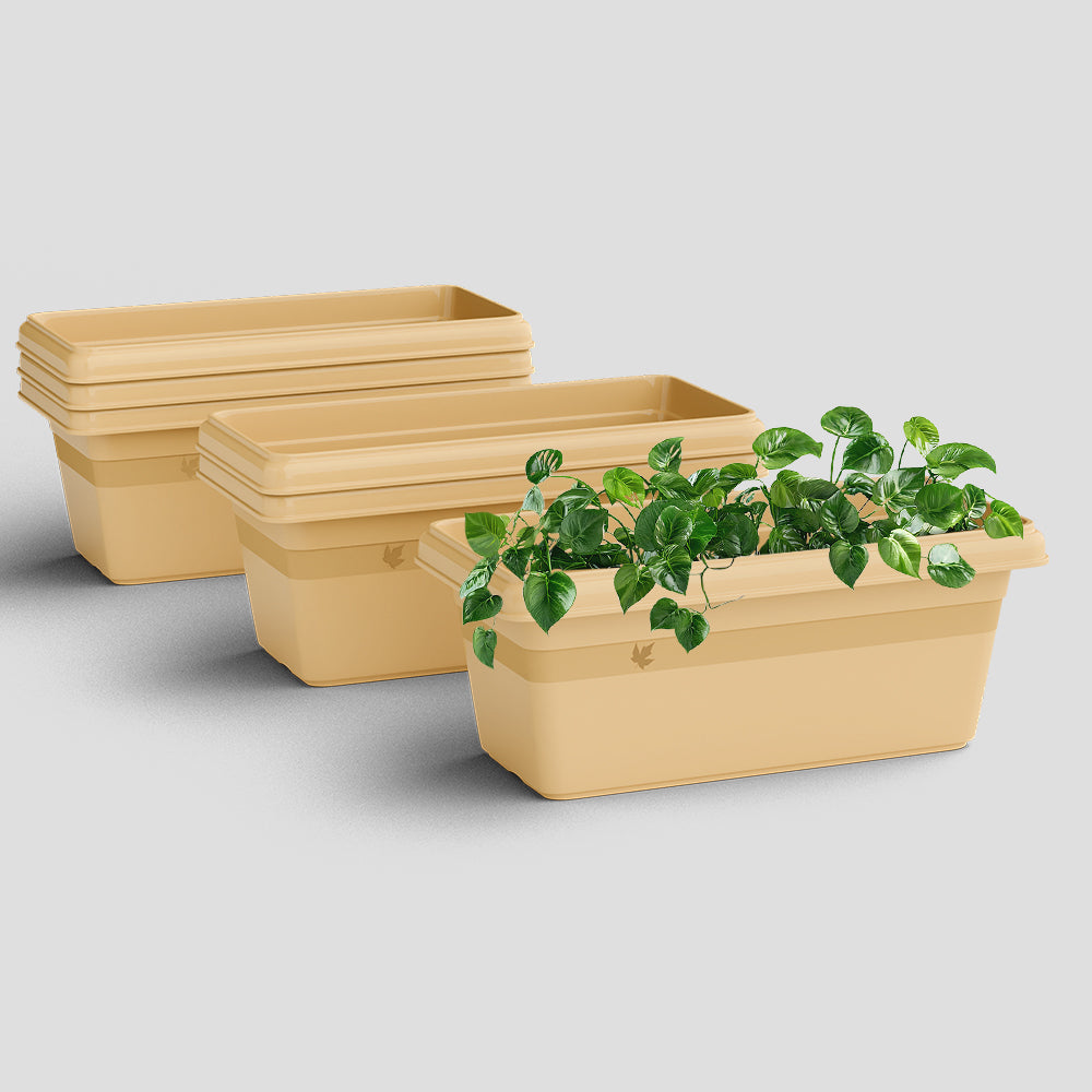 SHERA | TP PLANTER