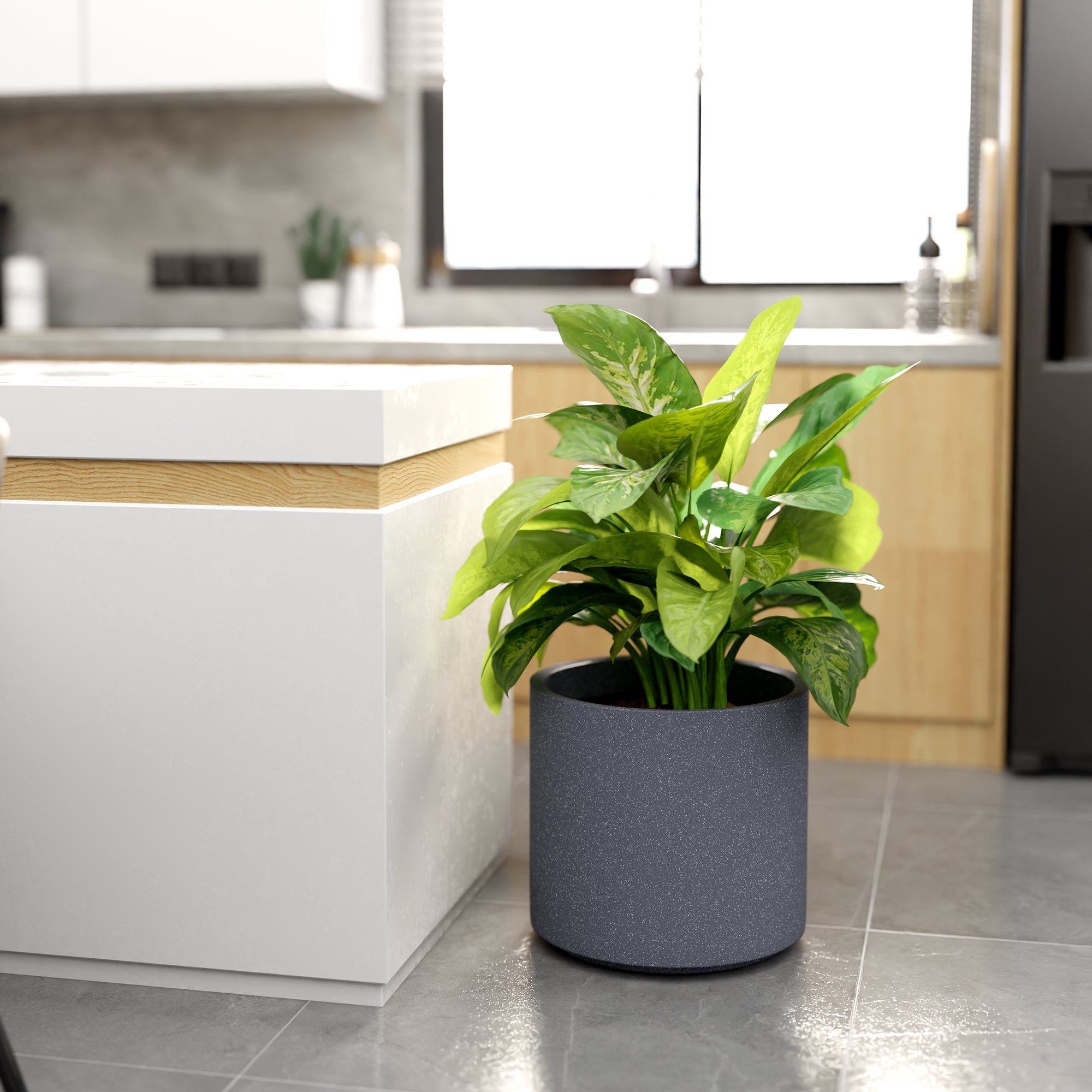 FOX B | CILIN PLANTER