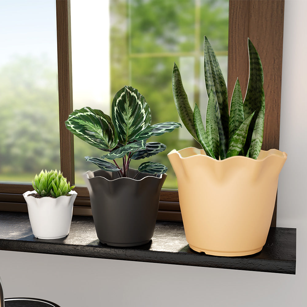 SHERA | FLOWER PLANTER