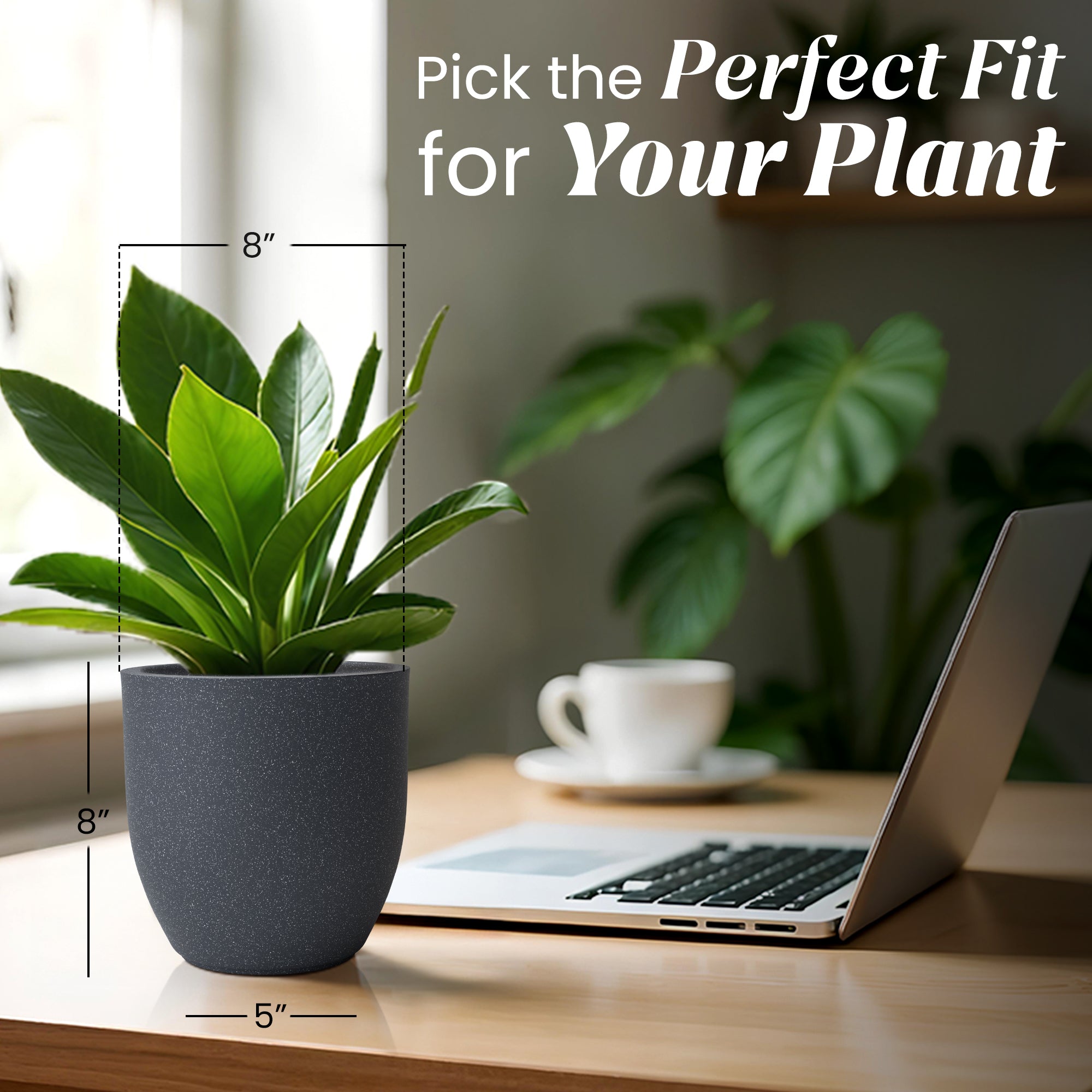 FOX B | P CUP PLANTER