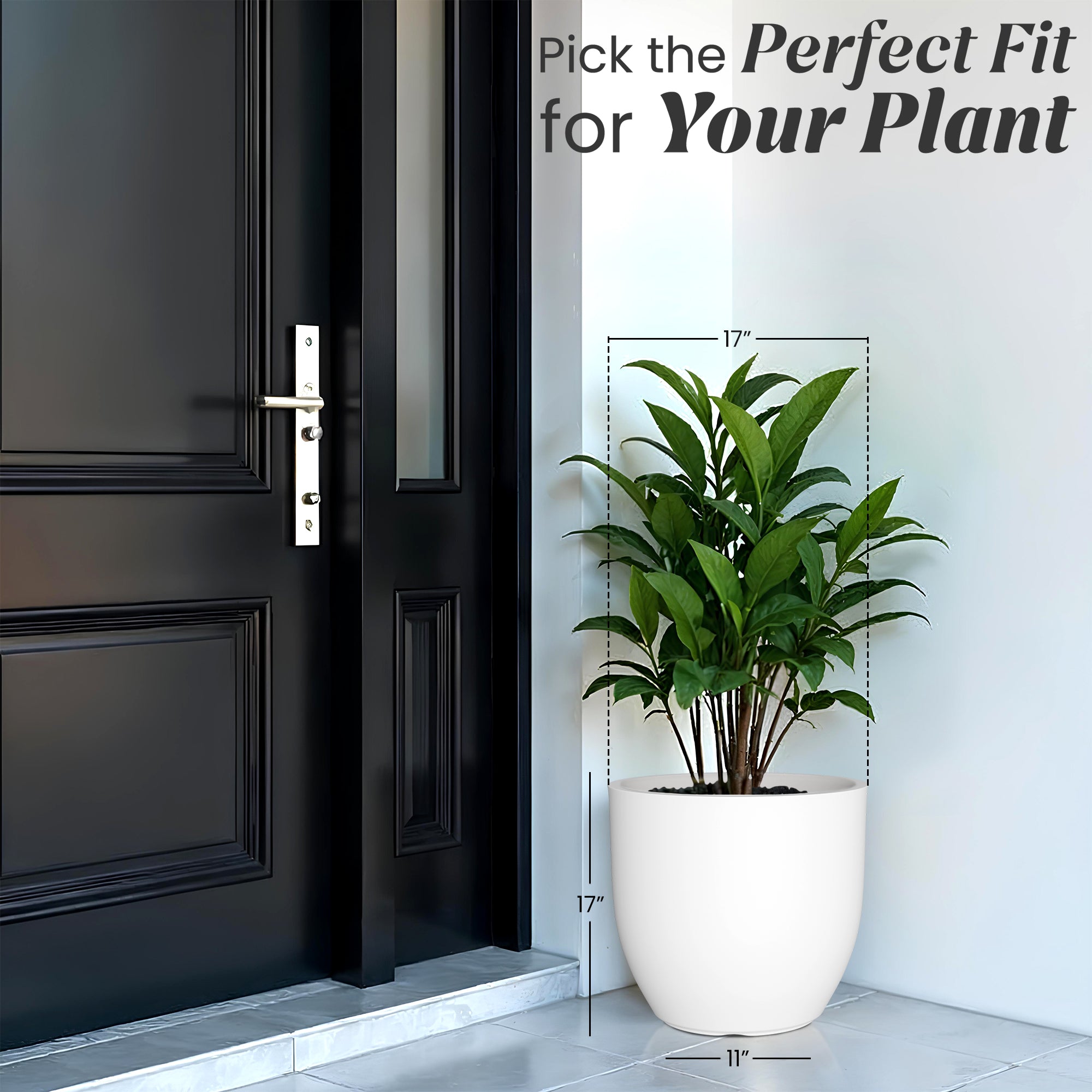 FOX B | P CUP PLANTER