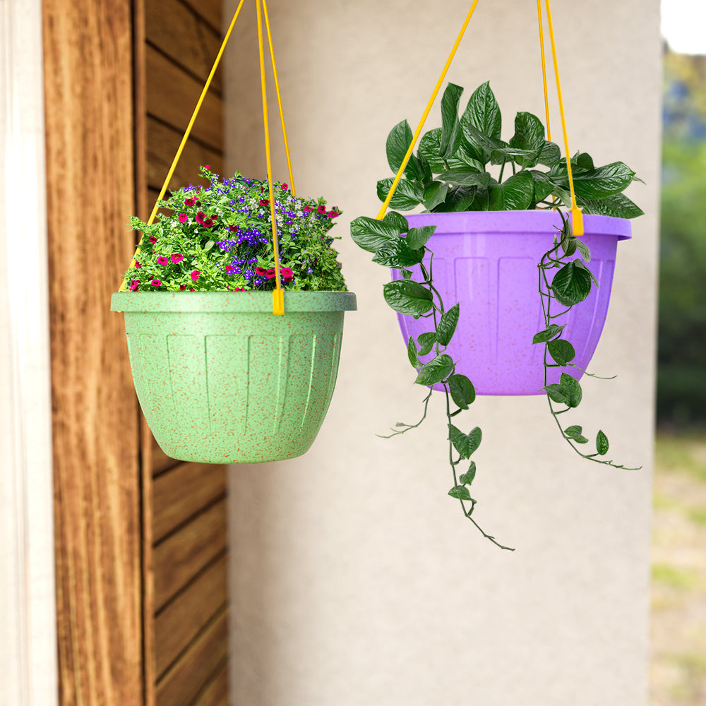 Bio Multicolor / 3 / 5