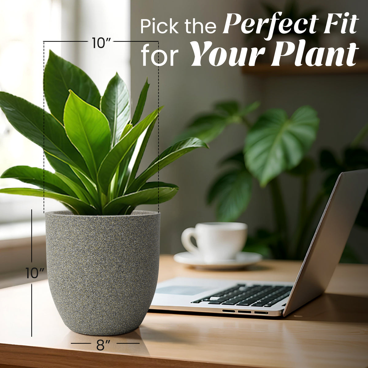 FOX B | P CUP PLANTER 6 INCH TO 15 INCH