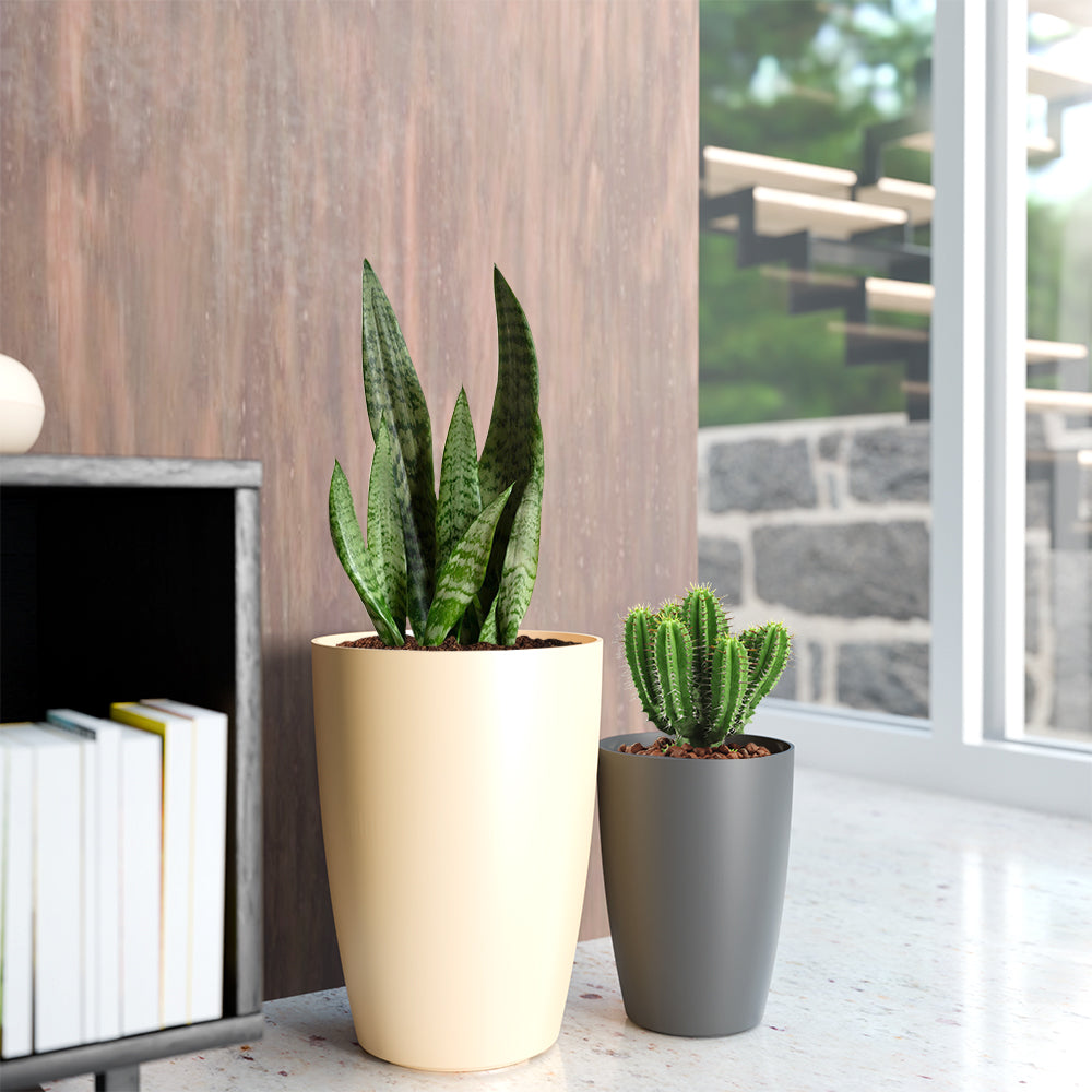 SHERA | STELLA TALL PLANTER