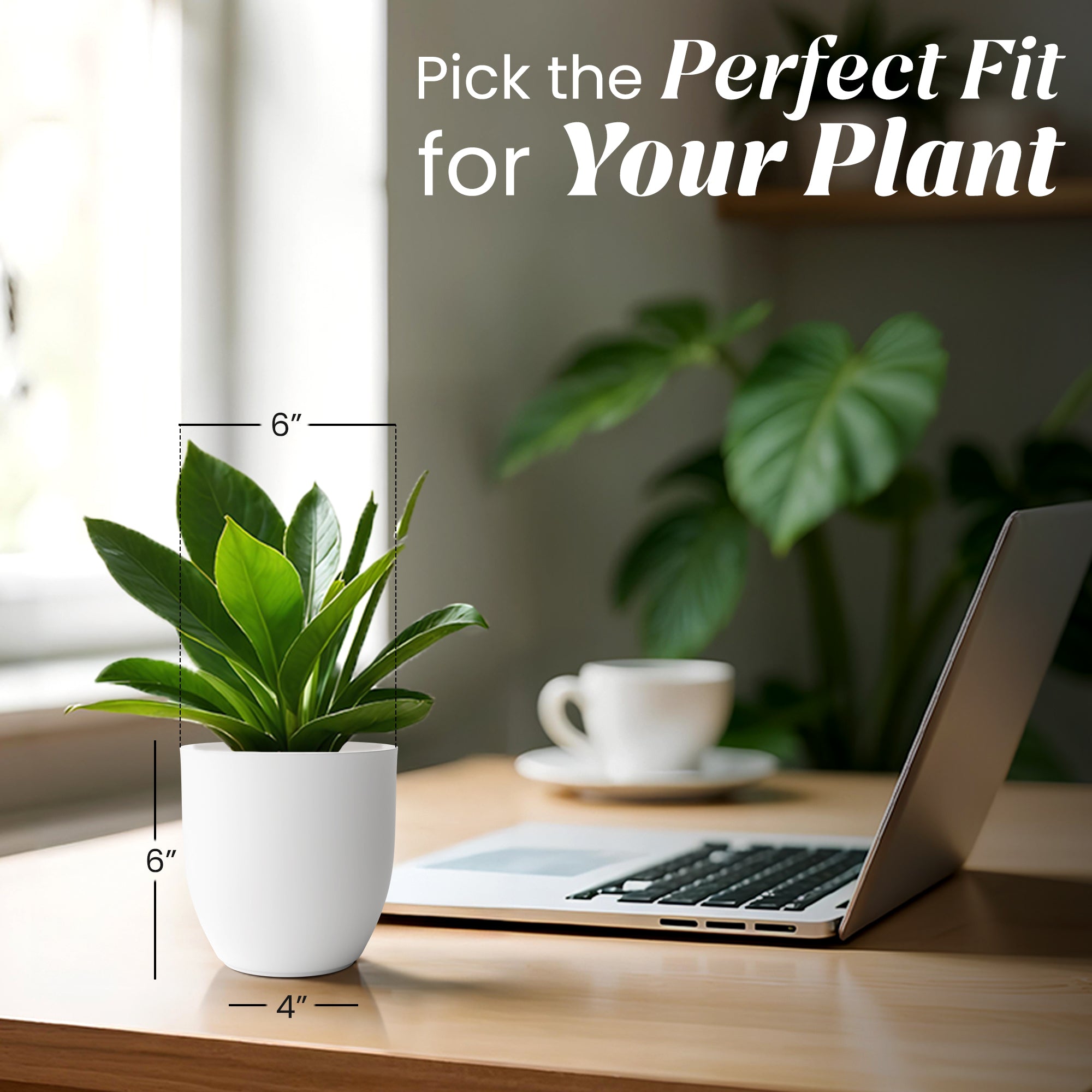 FOX B | P CUP PLANTER
