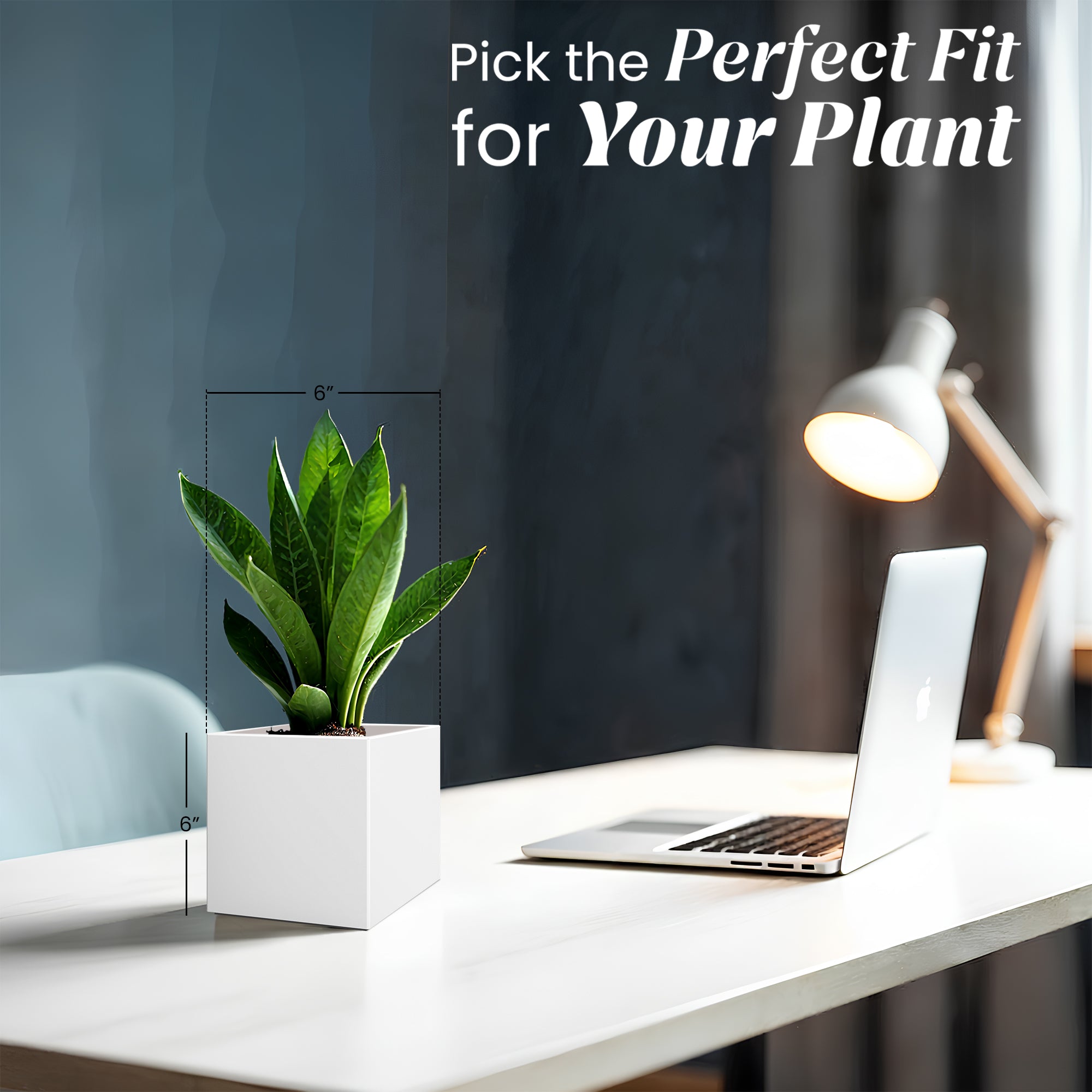 FOX B | CUBO PLANTER