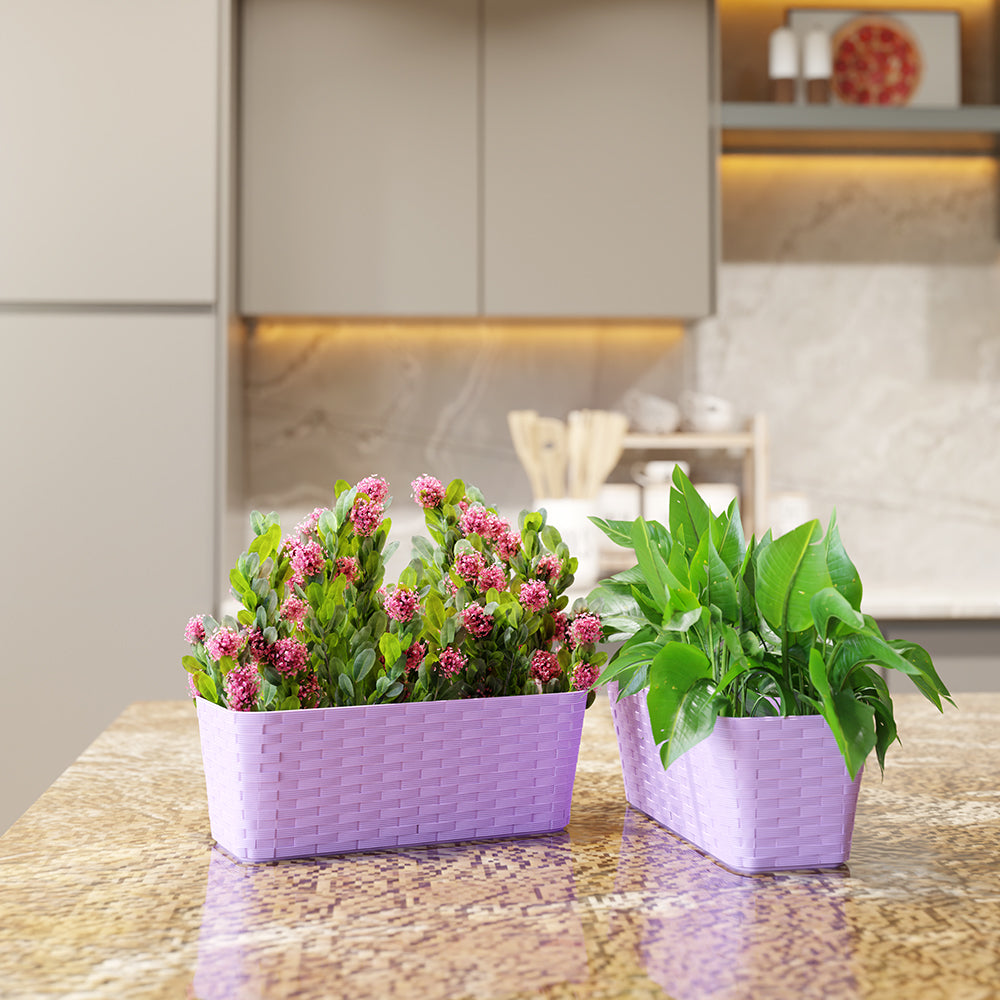 SHERA | RATTAN TRAY