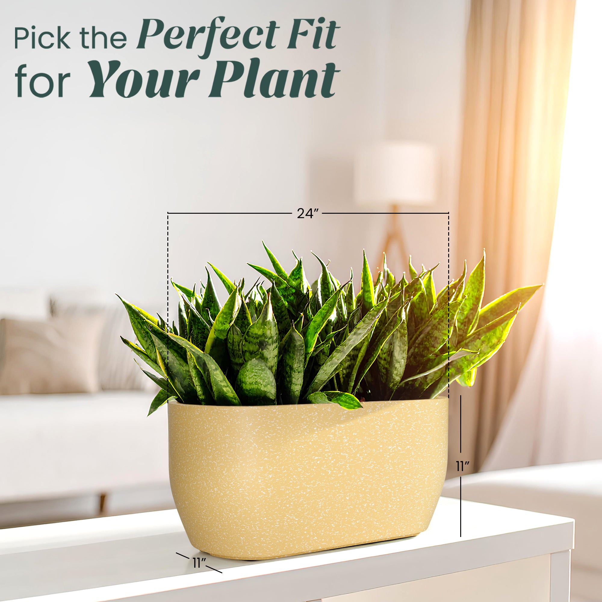 FOX B | PCTR PLANTER