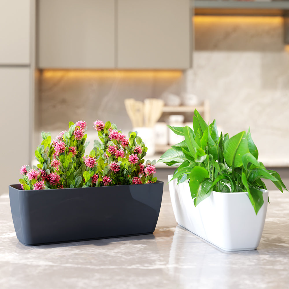 SHERA | CABI TRAY PLANTER
