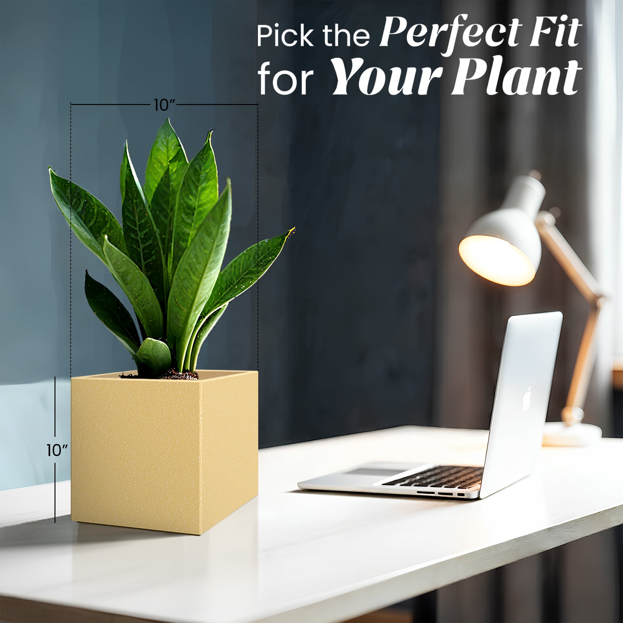 FOX B | CUBO PLANTER