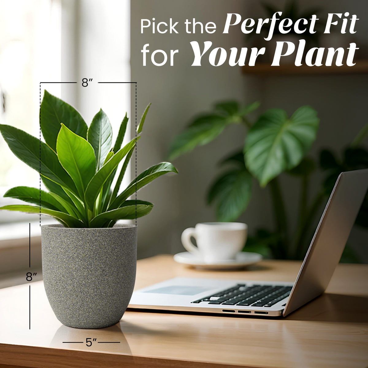 FOX B | P CUP PLANTER 6 INCH TO 15 INCH