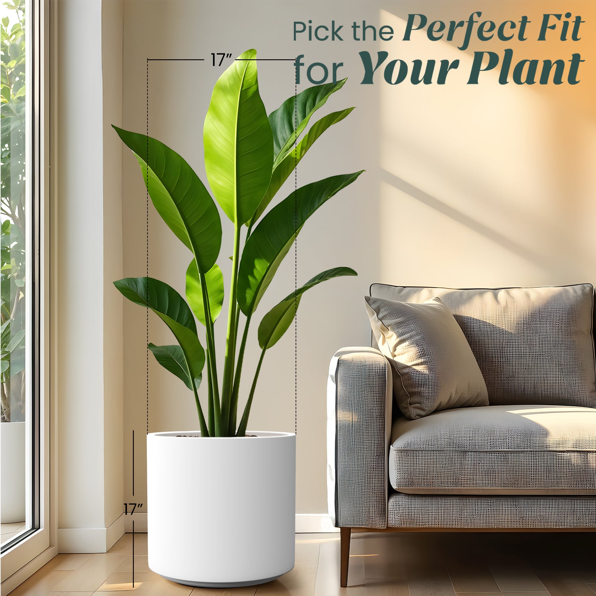 FOX B | CILIN PLANTER