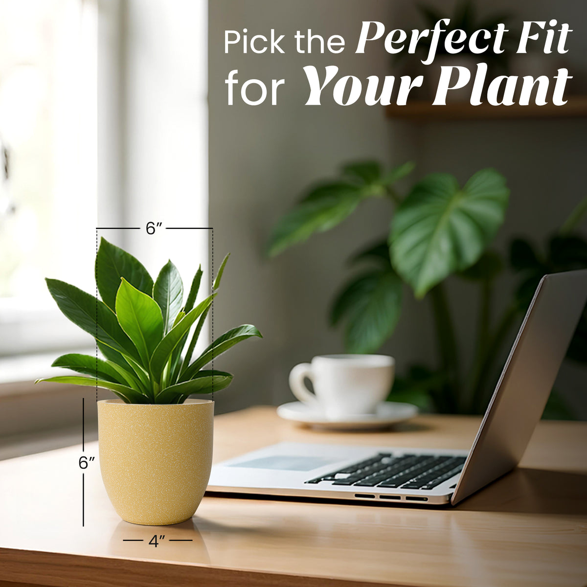 FOX B | P CUP PLANTER 6 INCH TO 15 INCH