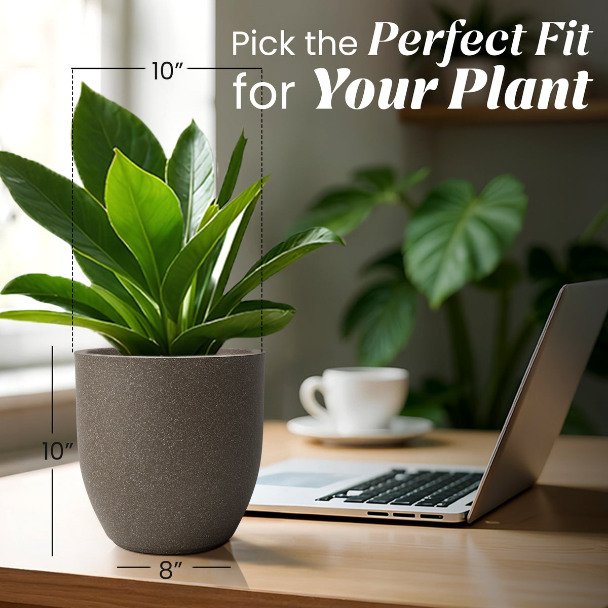 FOX B | P CUP PLANTER 6 INCH TO 15 INCH