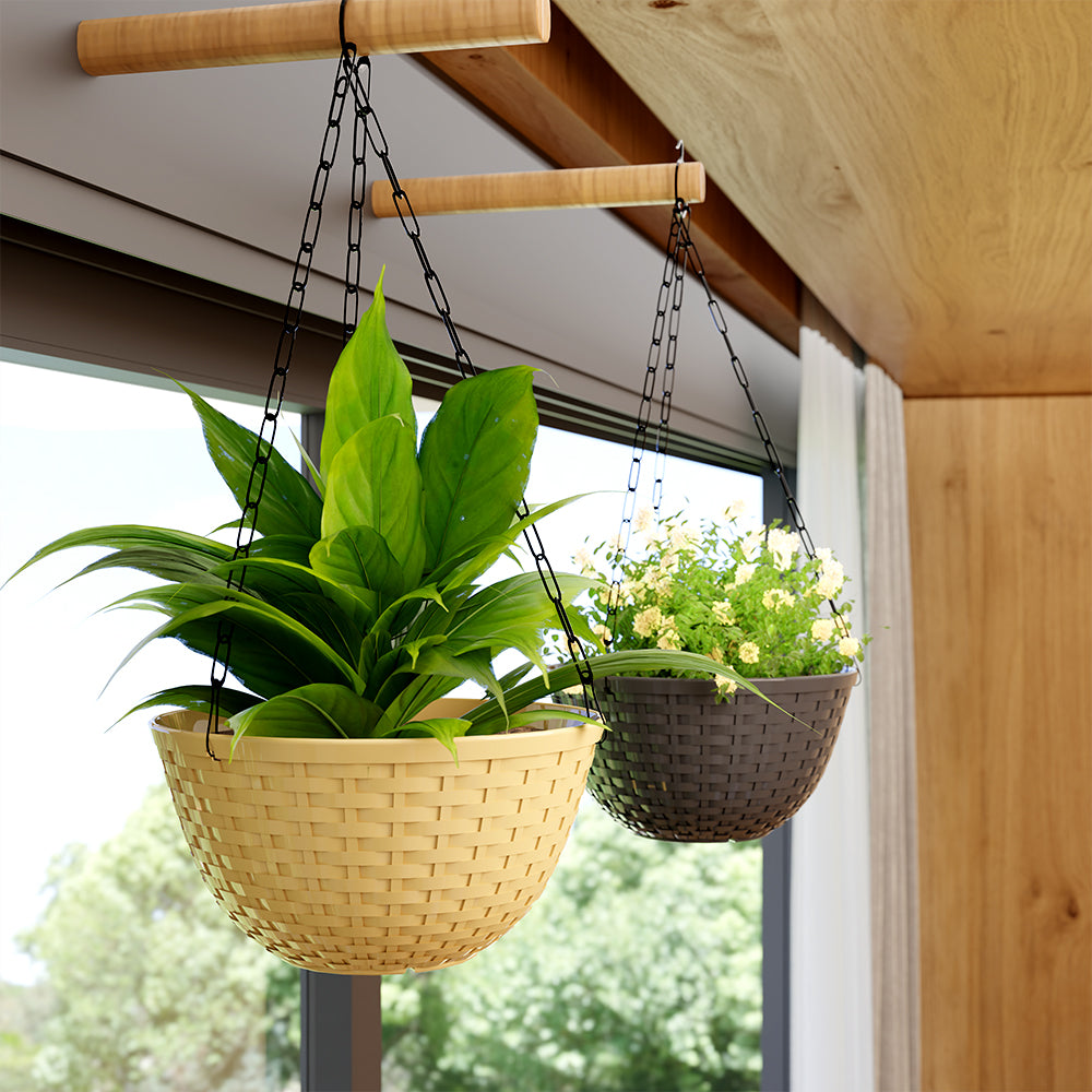 SHERA | CHICK HANGING