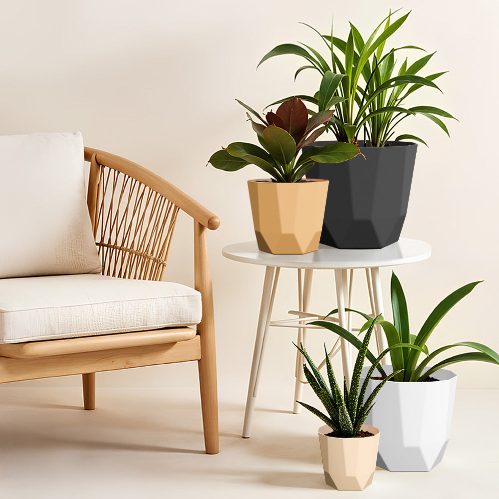 SHERA | HEXA PLANTER