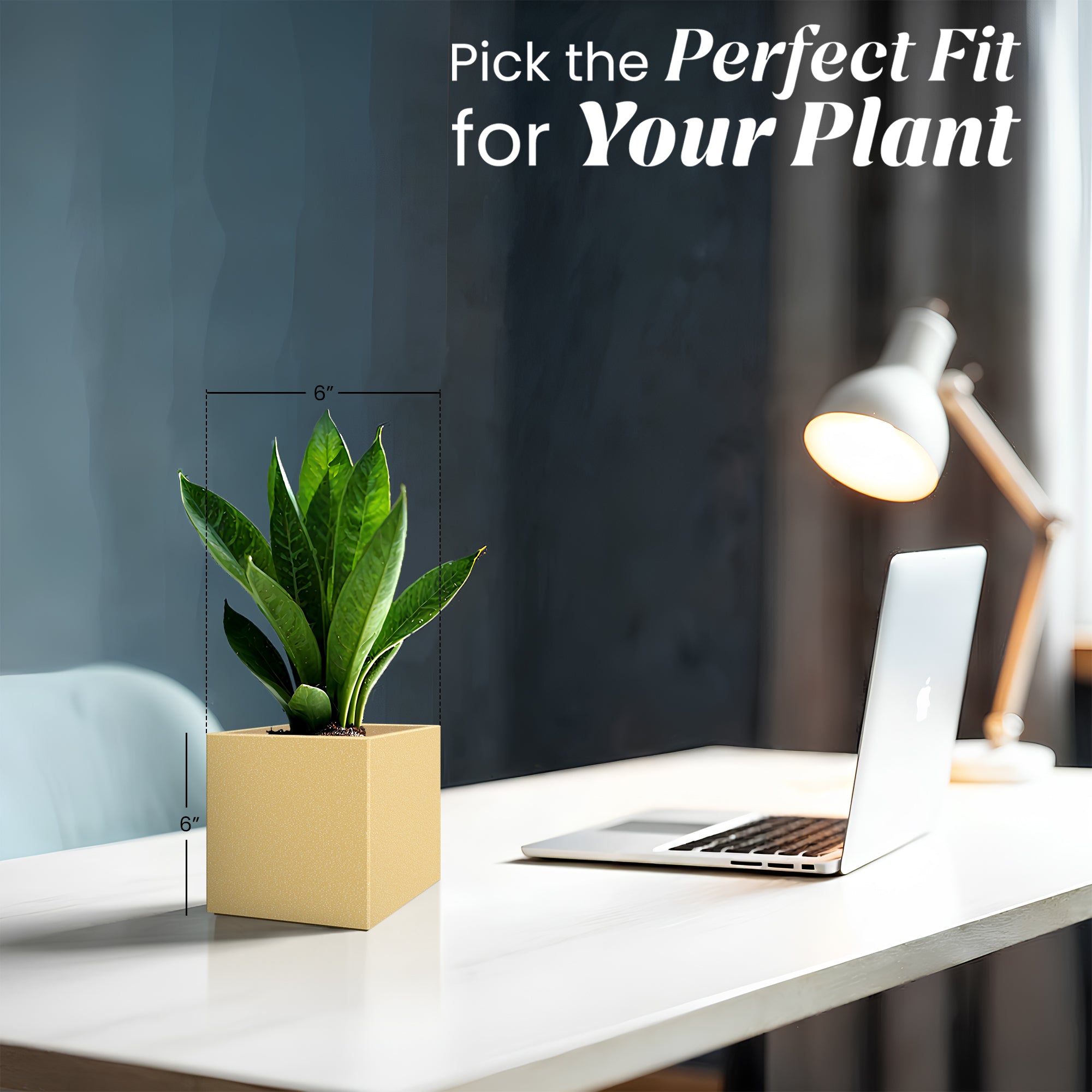 FOX B | CUBO PLANTER