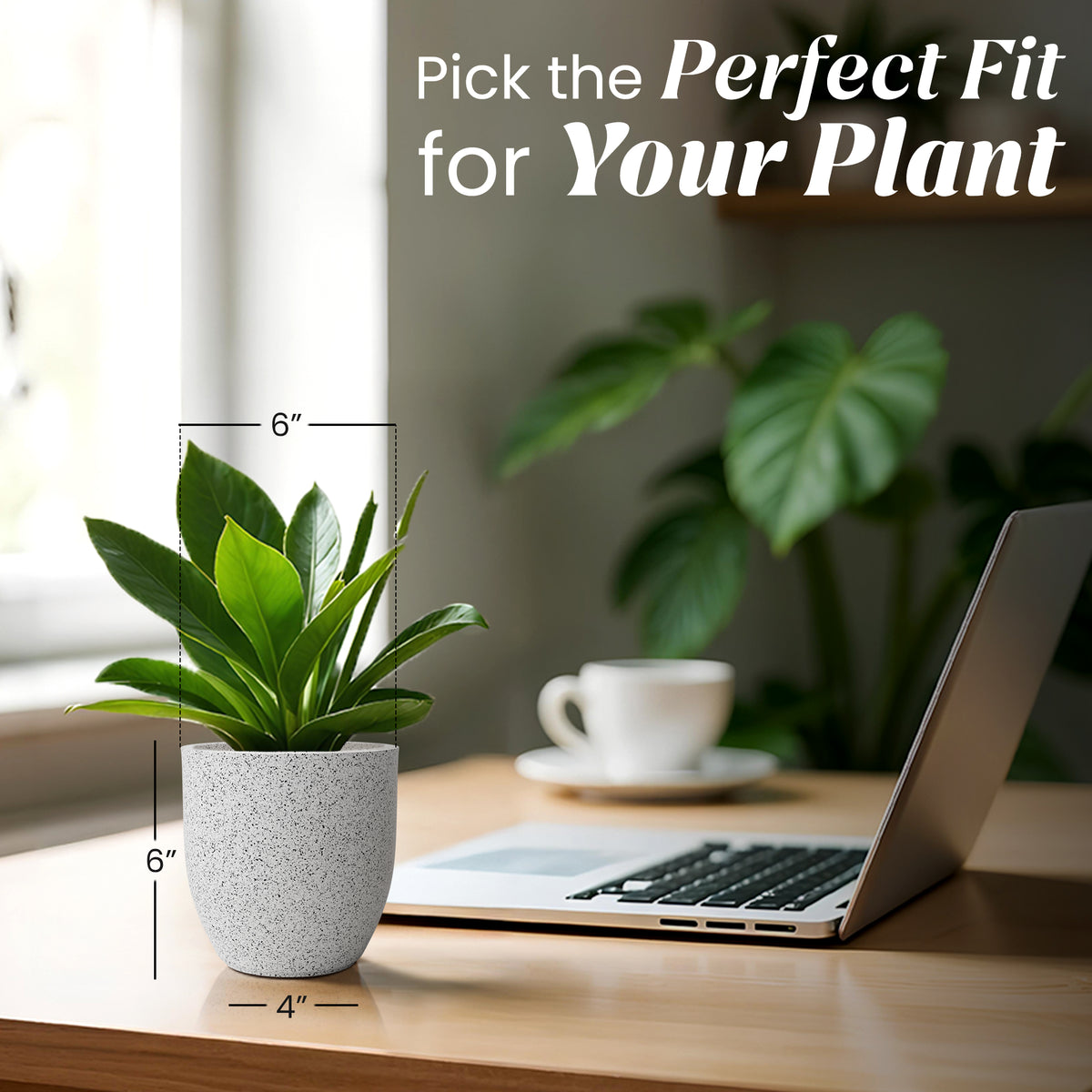FOX B | P CUP PLANTER 6 INCH TO 15 INCH