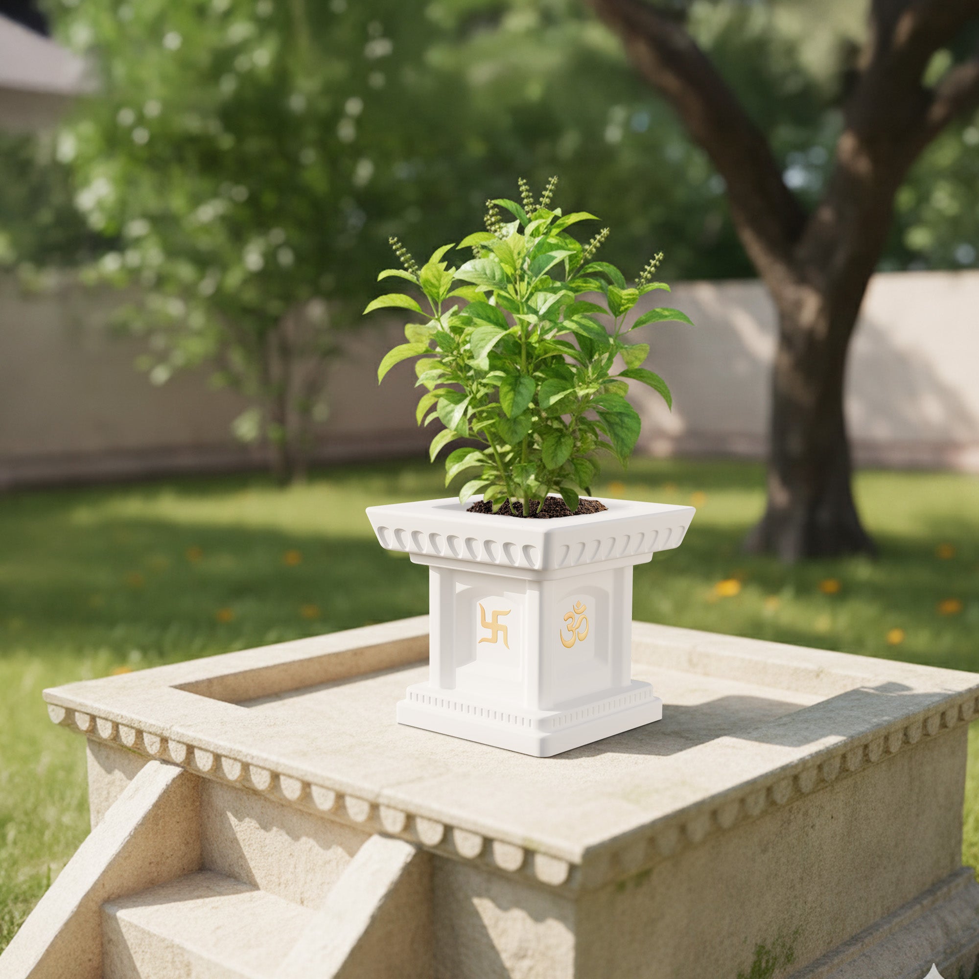 FOX B | TULSI PLANTER