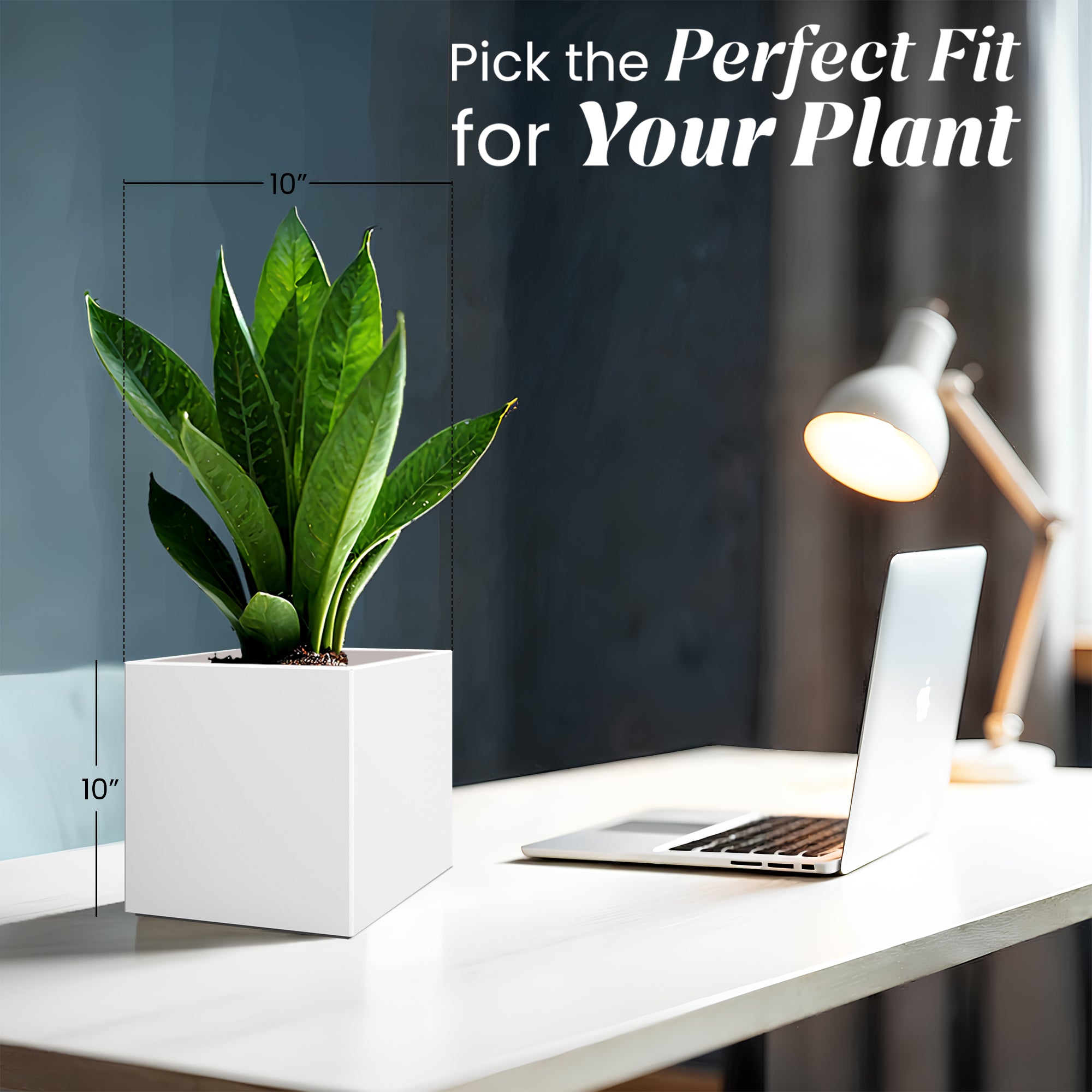 FOX B | CUBO PLANTER