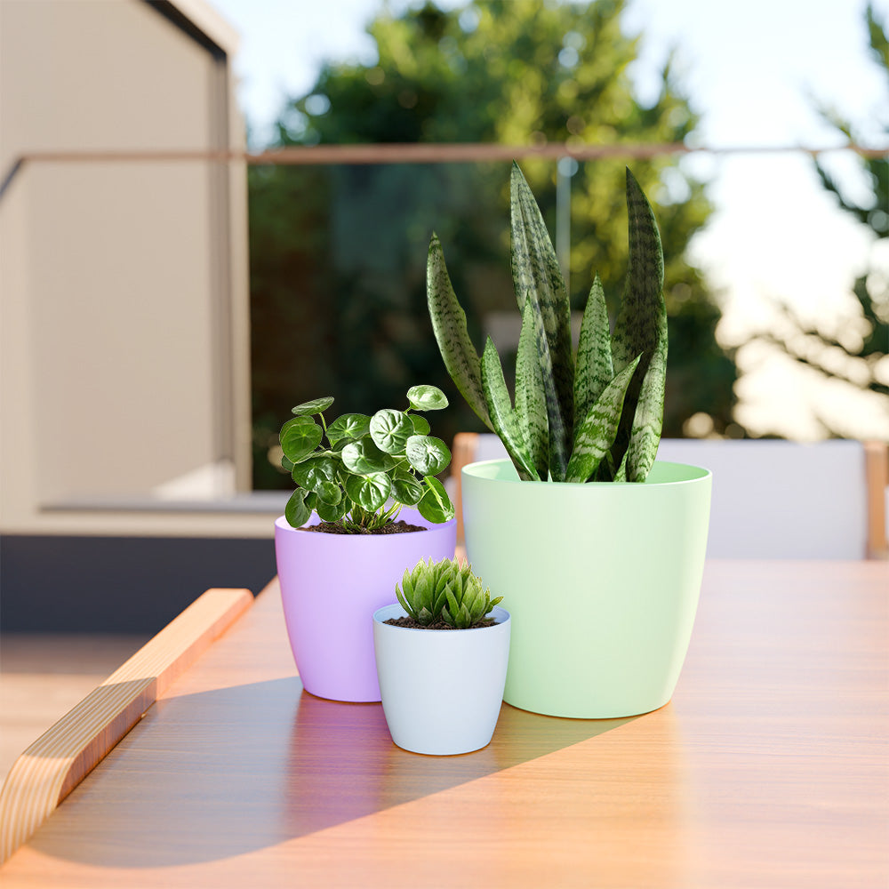 SHERA | STELLA BIO PLANTER