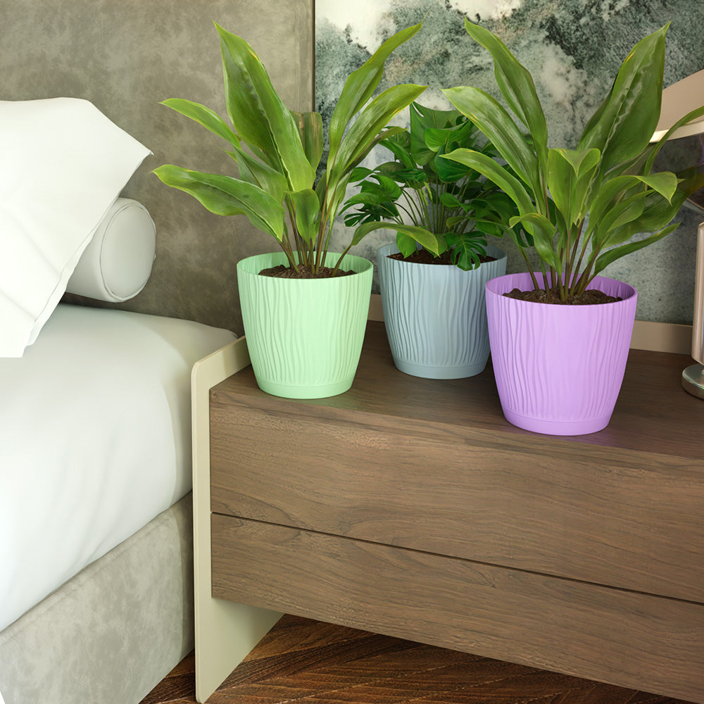 SHERA | EVA PLANTER