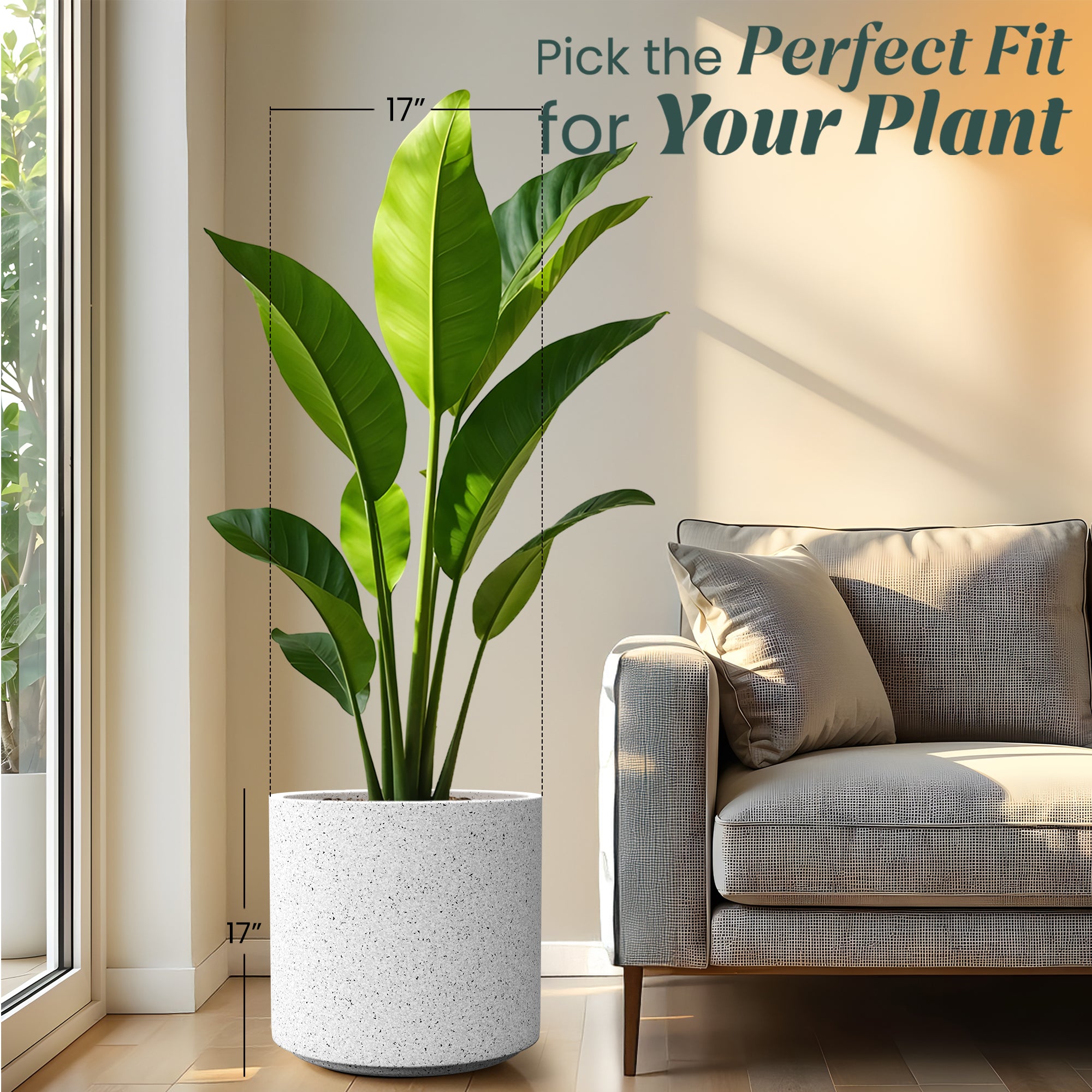 FOX B | CILIN PLANTER