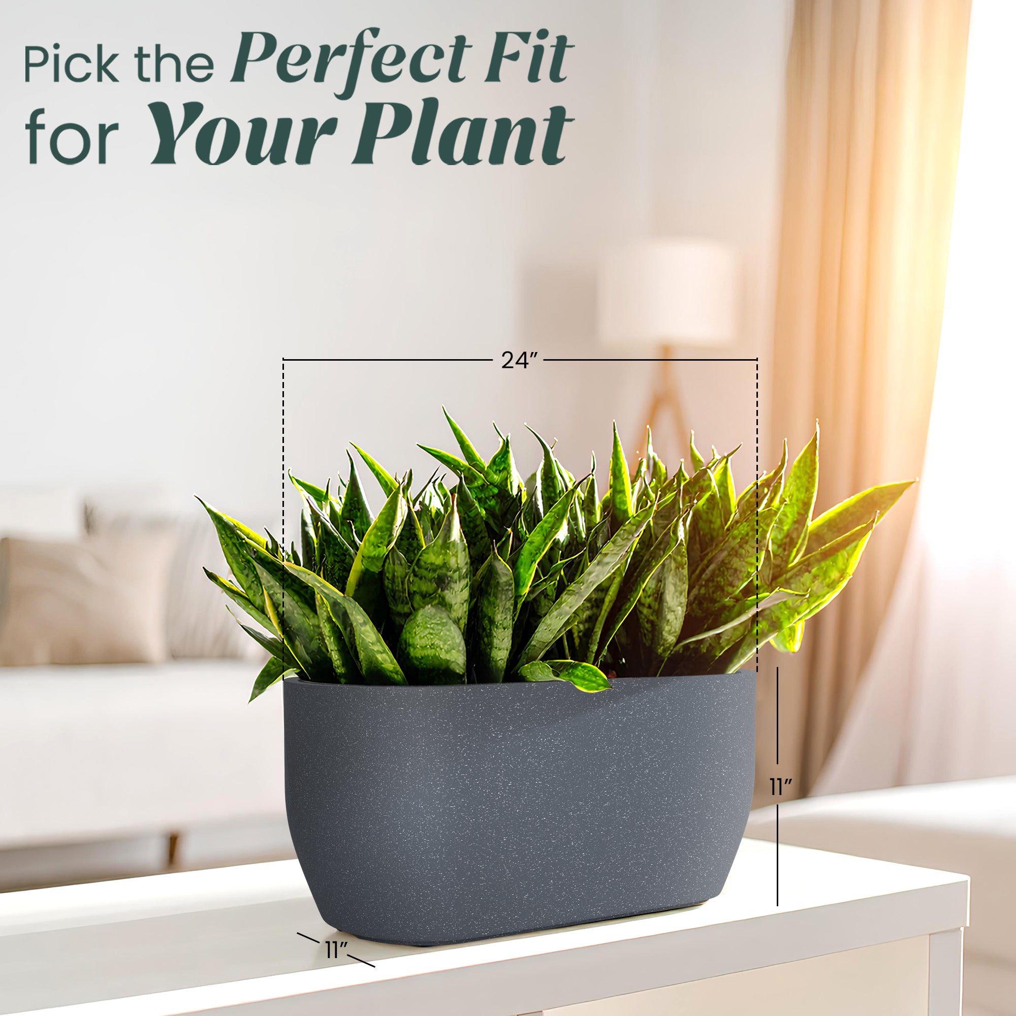 FOX B | PCTR PLANTER