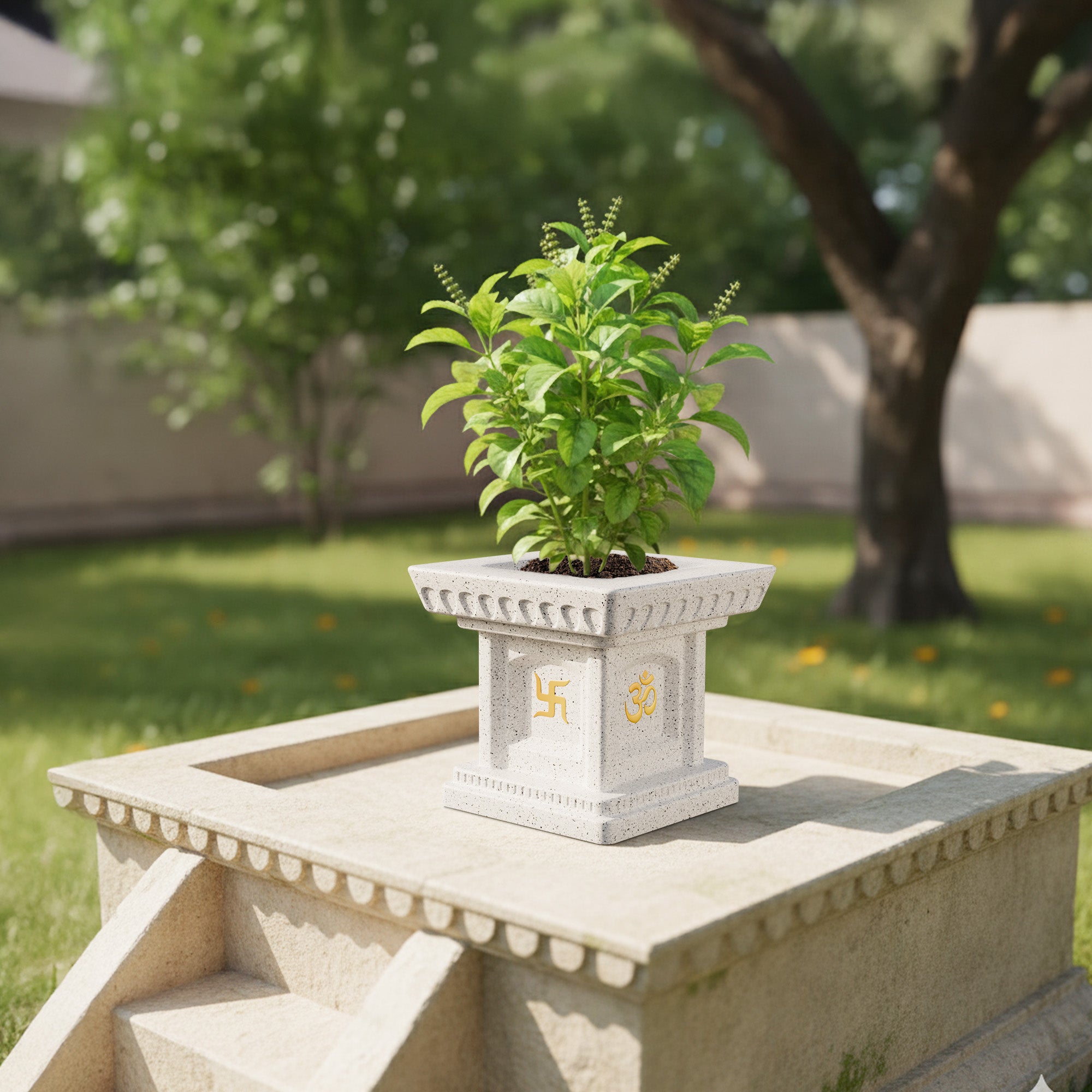 FOX B | TULSI PLANTER