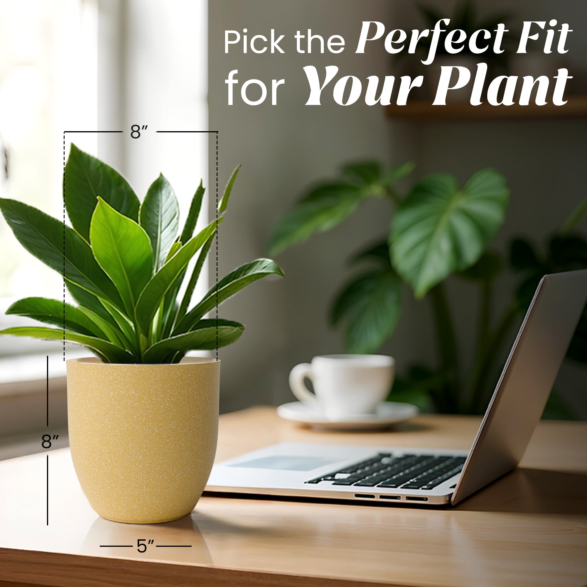 FOX B | P CUP PLANTER