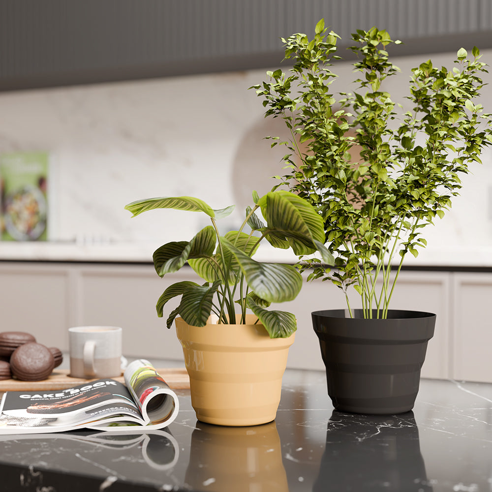 SHERA | RING PLANTER