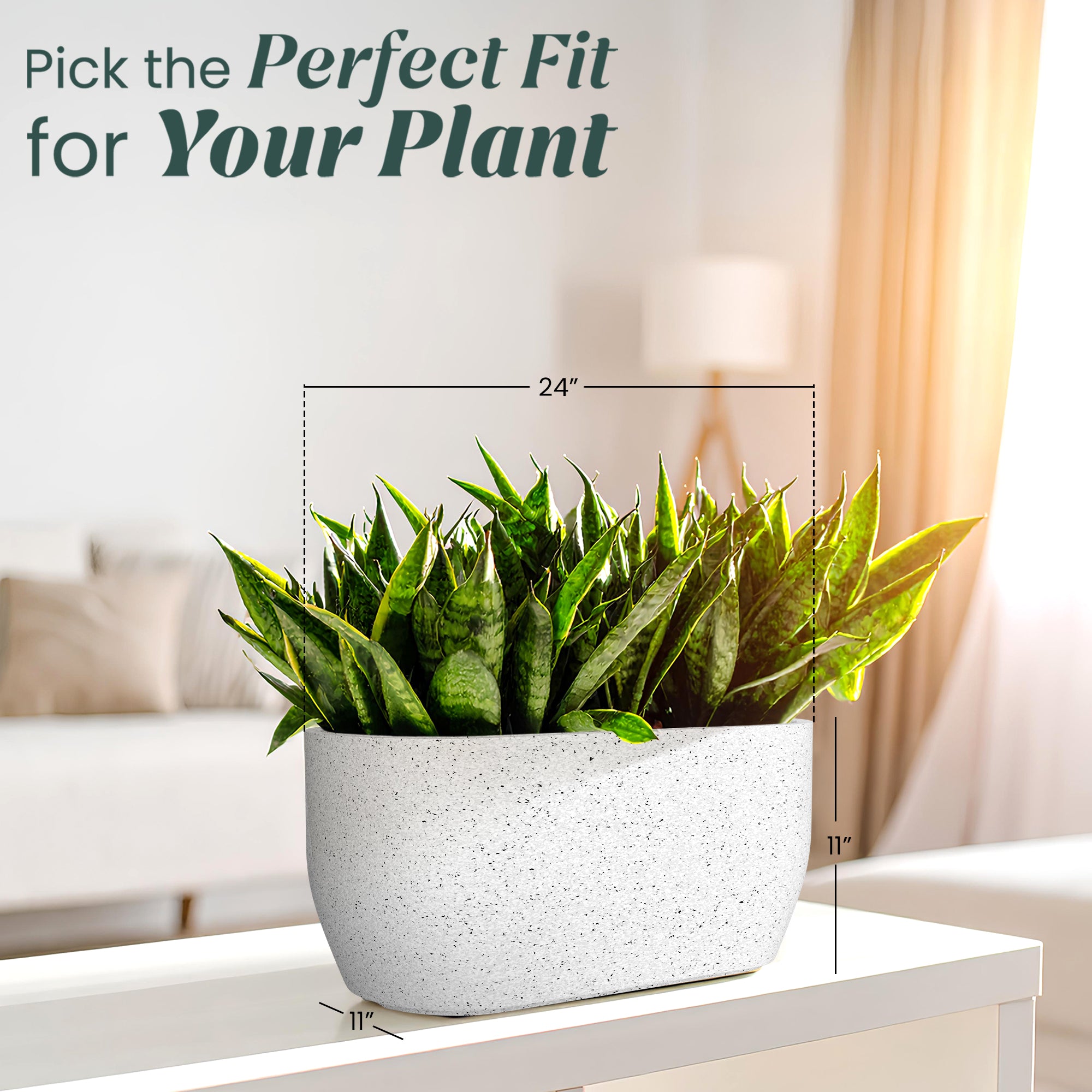 FOX B | PCTR PLANTER