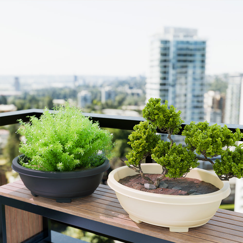 SHERA | BOTANICA TRAY PLANTER
