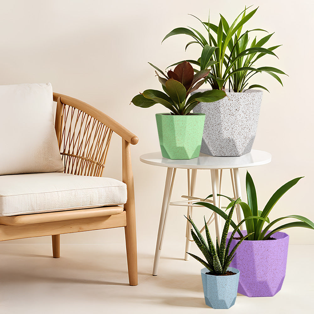 SHERA | HEXA BIO PLANTER