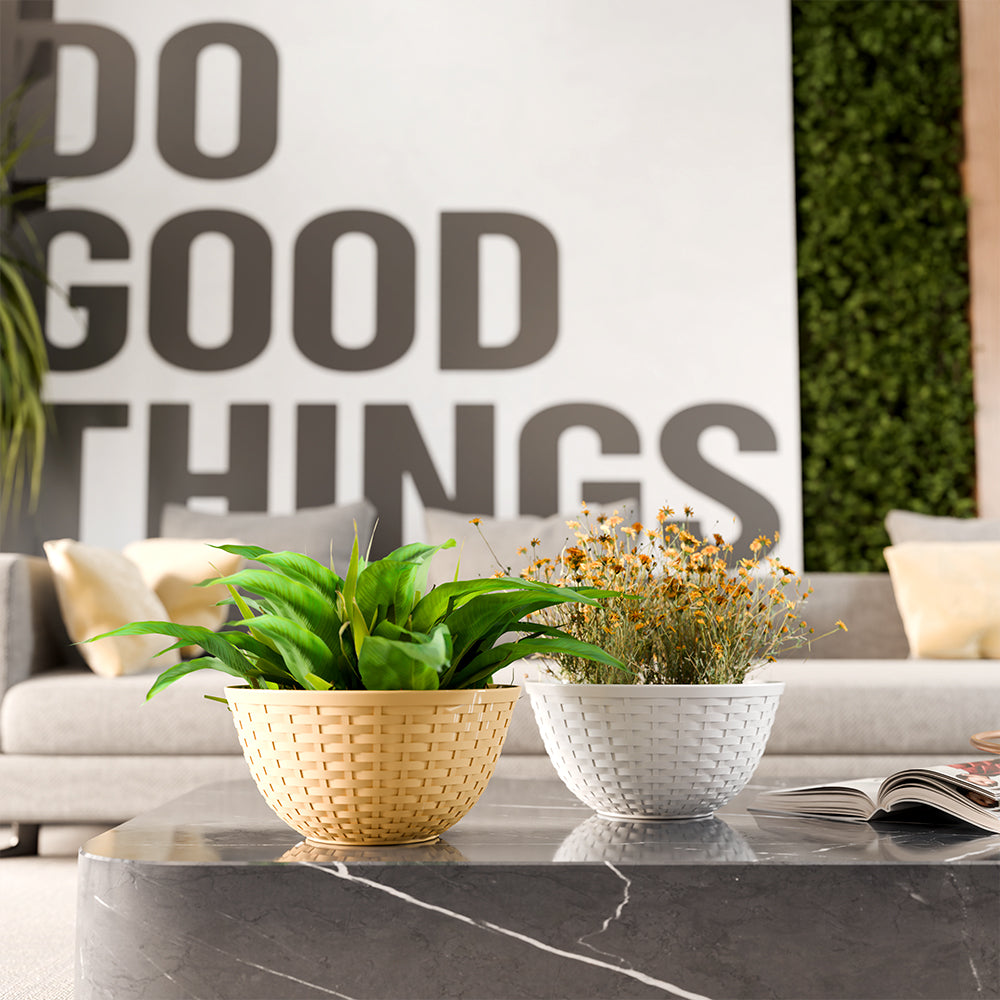 SHERA | CHICK KTR PLANTER