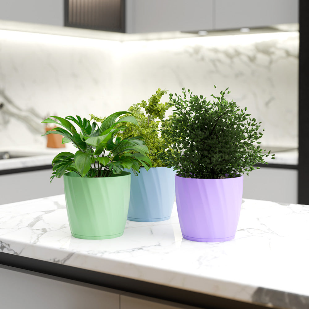 SHERA | ZINNIA PLANTER