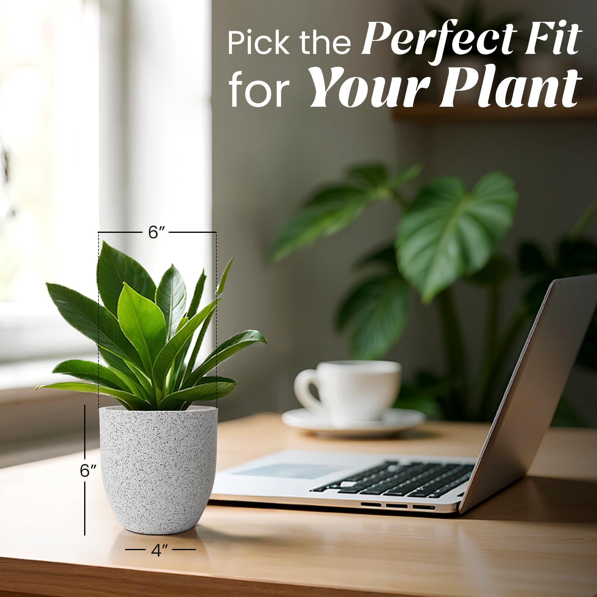 FOX B | P CUP PLANTER