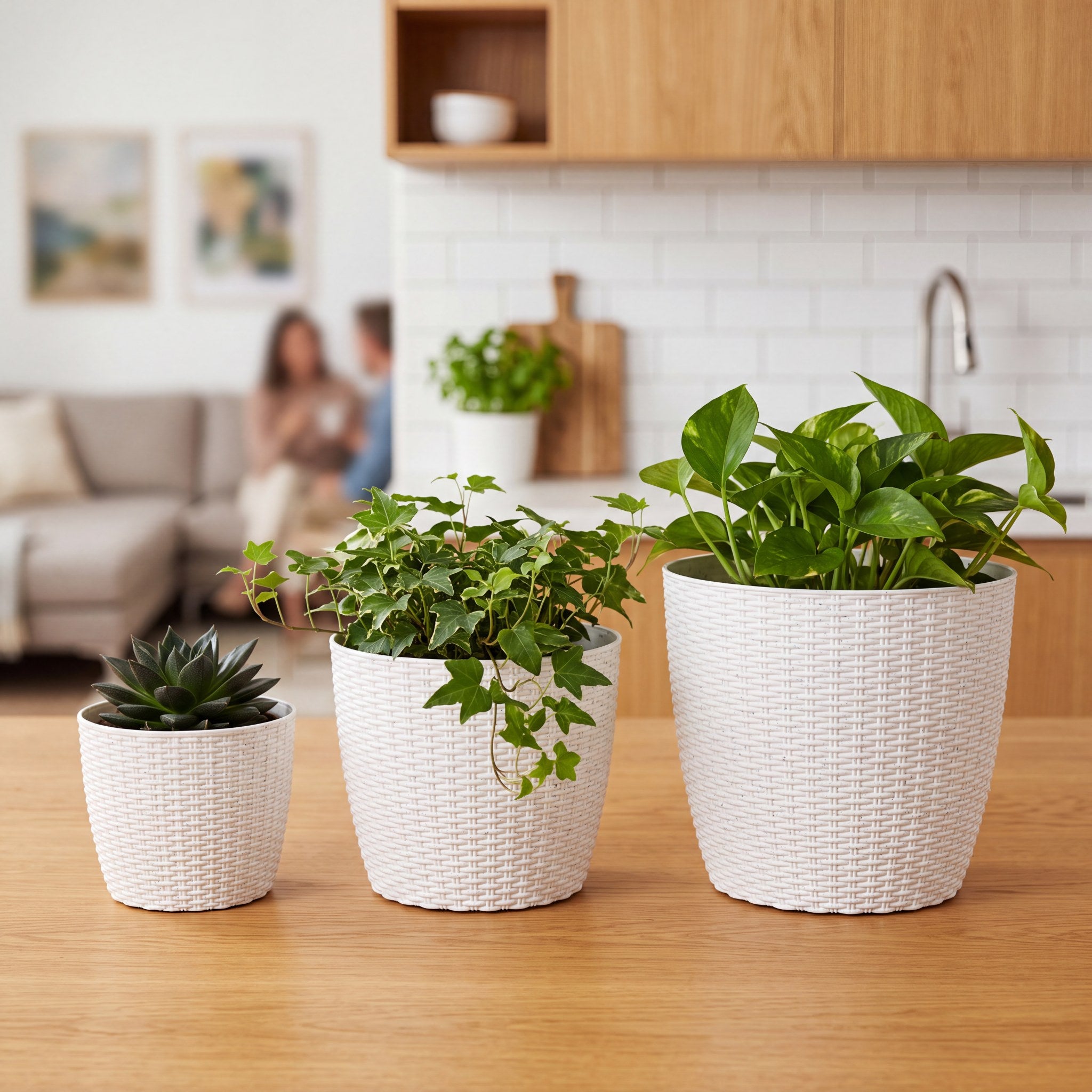 SHERA | STELLA R PLANTER