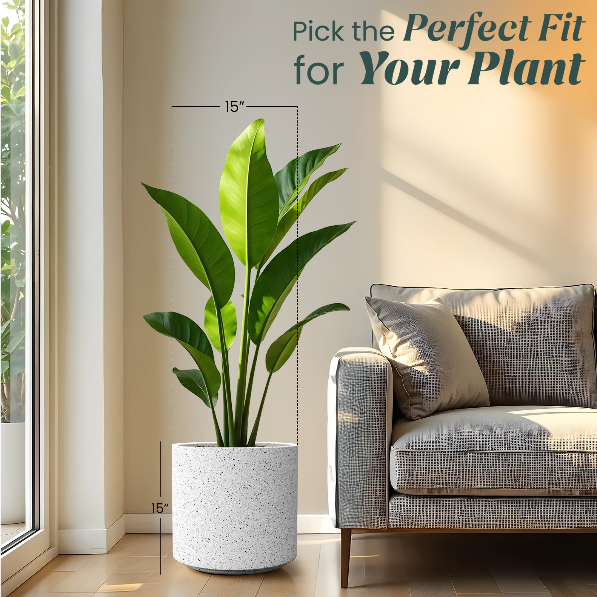 FOX B | CILIN PLANTER