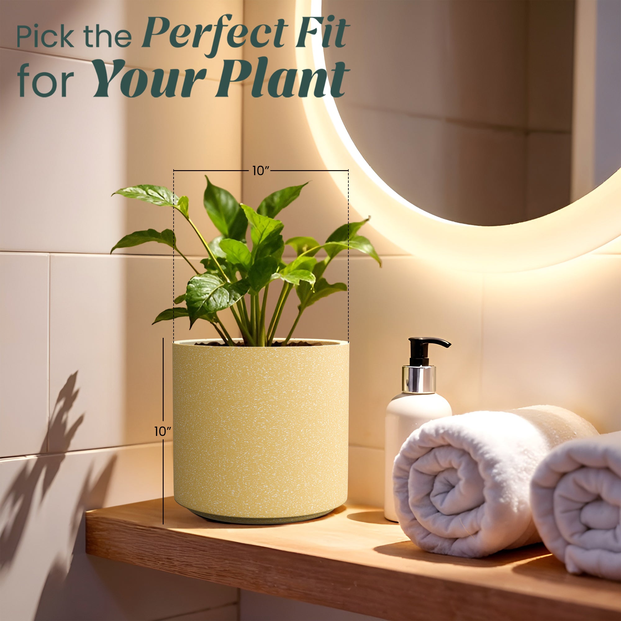 FOX B | CILIN PLANTER