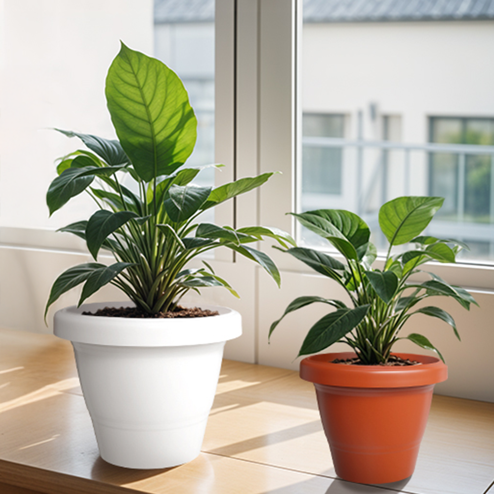 SHERA | RD PLANTER