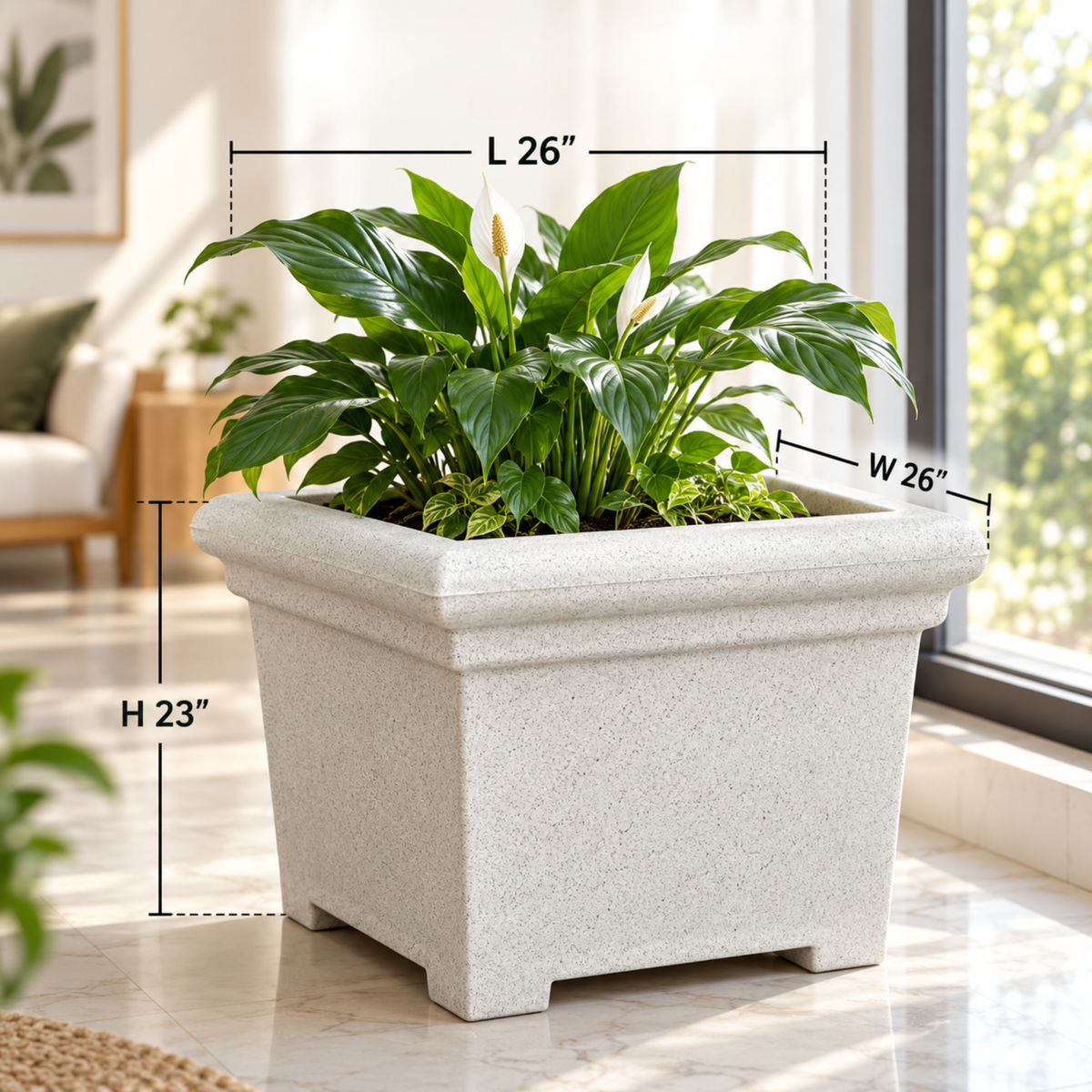 FOX B | BS PLANTER