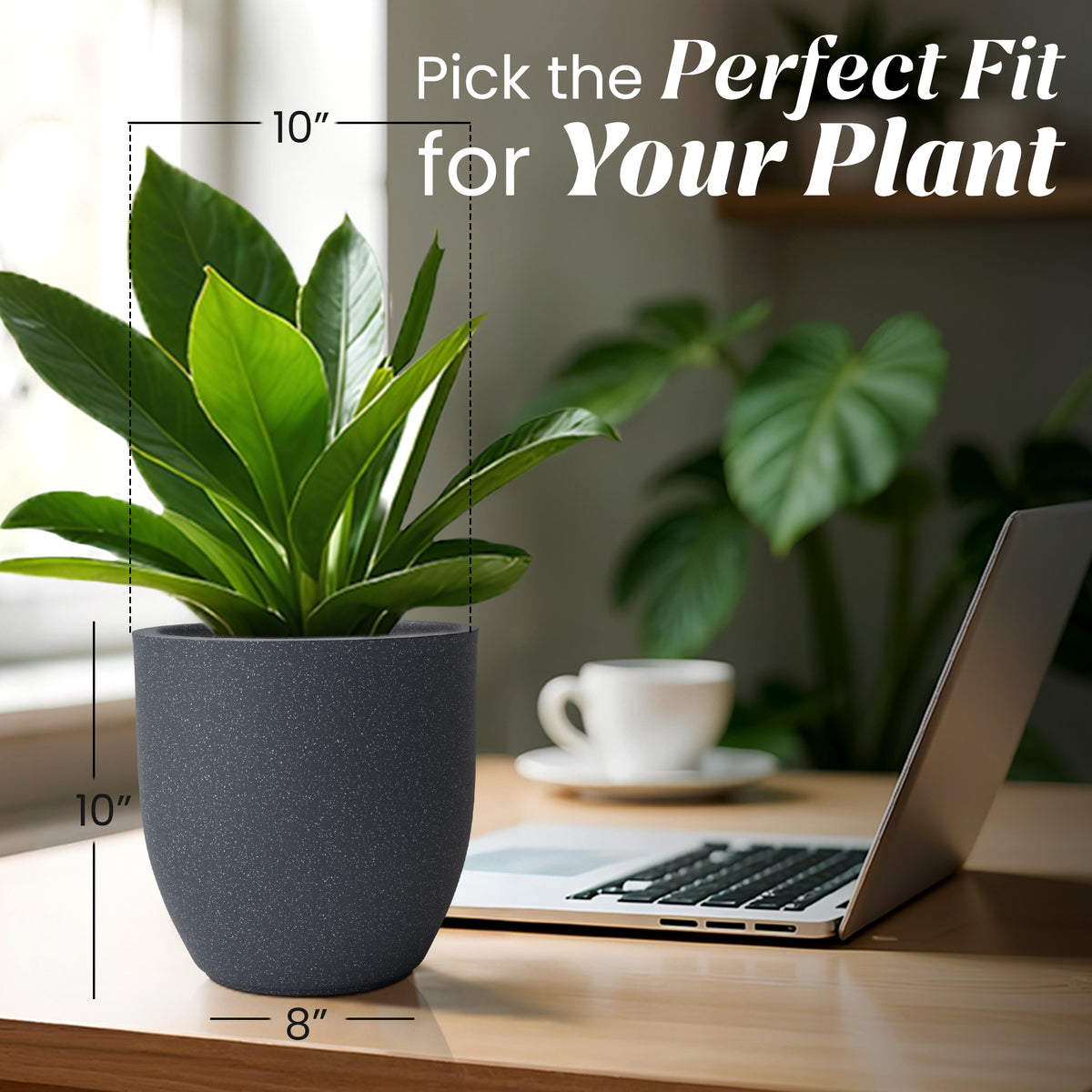 FOX B | P CUP PLANTER 6 INCH TO 15 INCH