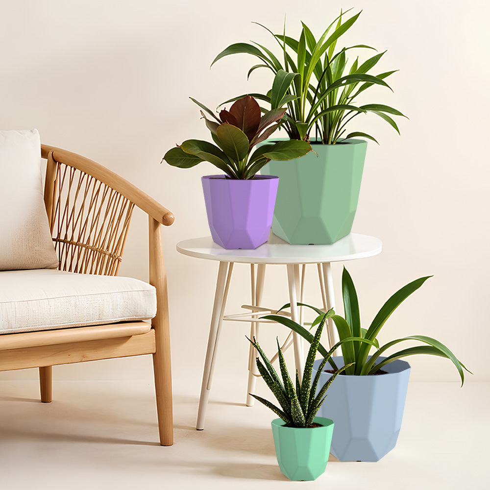 SHERA | HEXA PLANTER