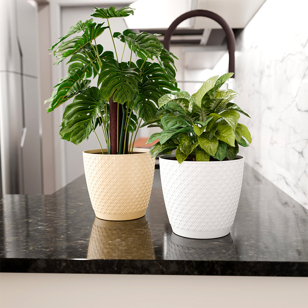 SHERA | CRUZ PLANTER