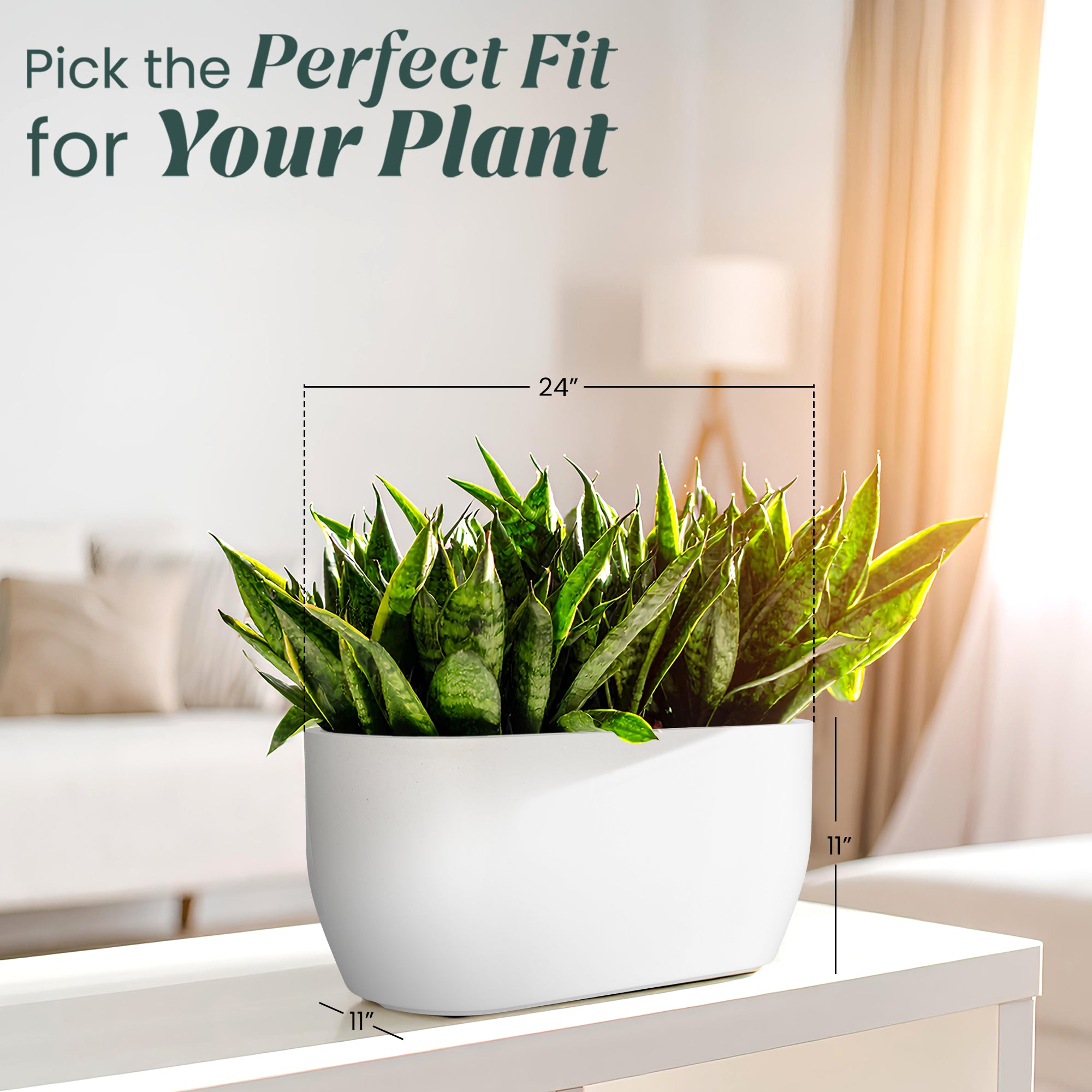 FOX B | PCTR PLANTER