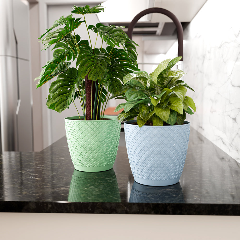 SHERA | CRUZ PLANTER